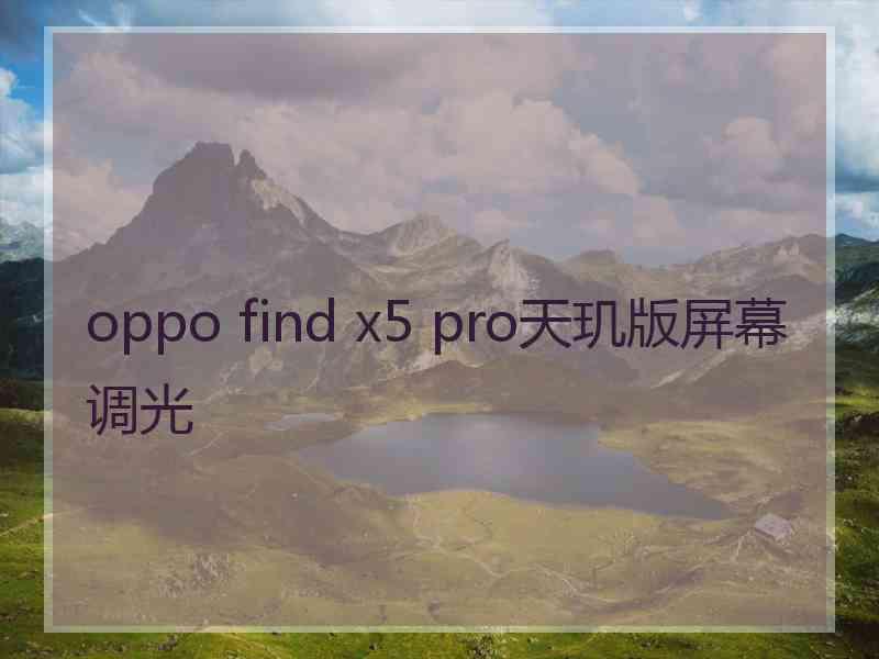 oppo find x5 pro天玑版屏幕调光