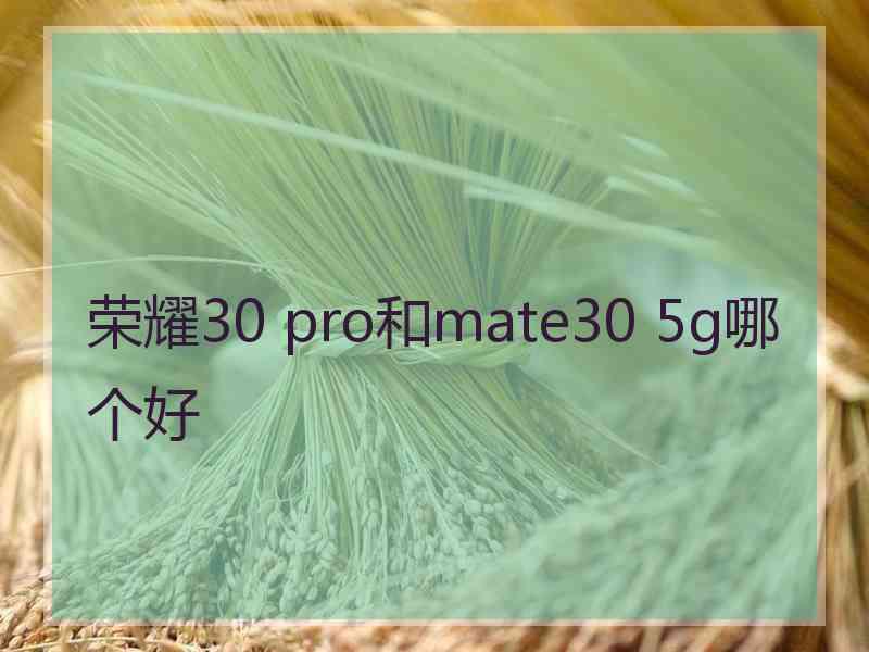 荣耀30 pro和mate30 5g哪个好