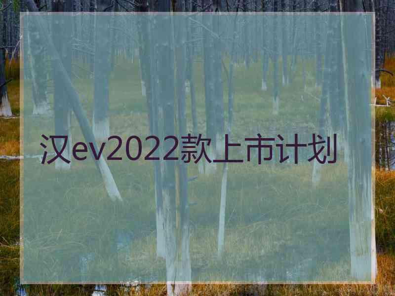 汉ev2022款上市计划