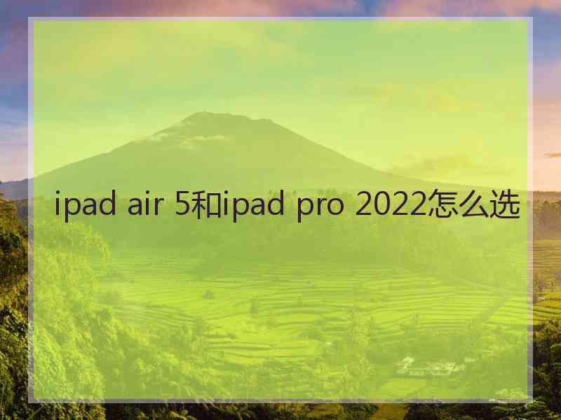 ipad air 5和ipad pro 2022怎么选