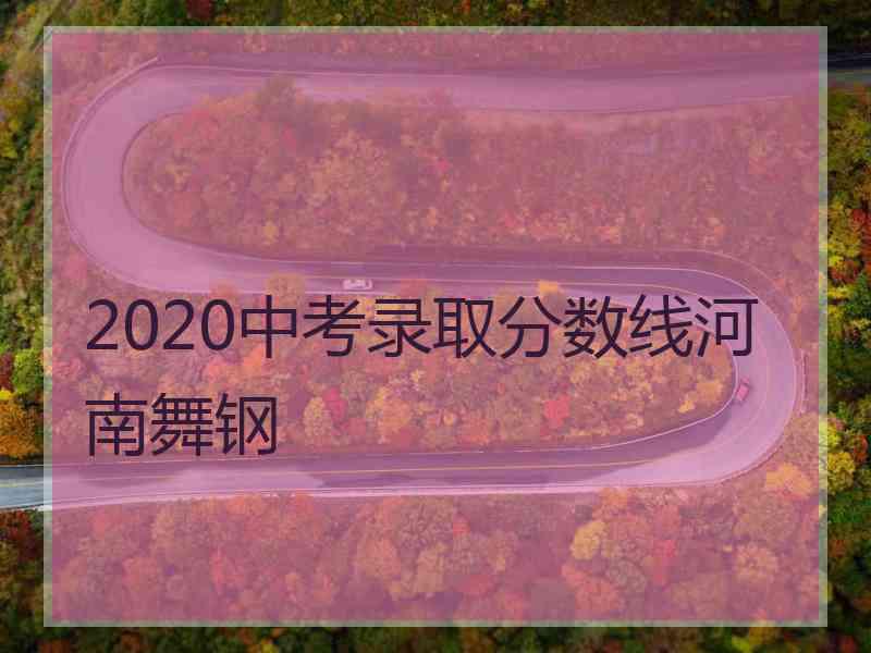 2020中考录取分数线河南舞钢