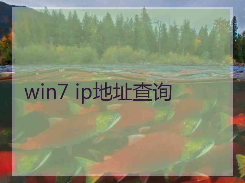 win7 ip地址查询