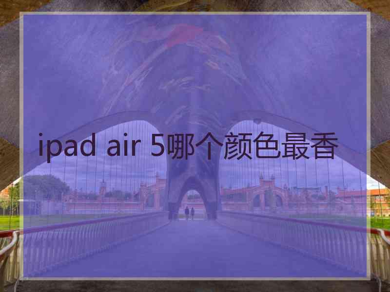 ipad air 5哪个颜色最香