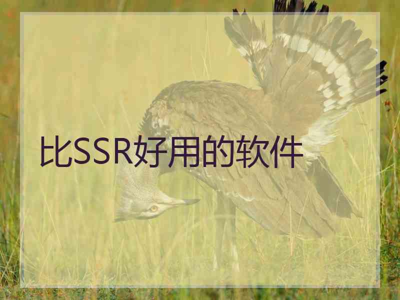 比SSR好用的软件