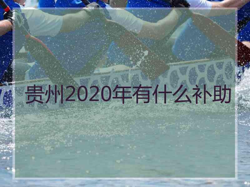 贵州2020年有什么补助