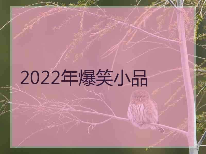 2022年爆笑小品