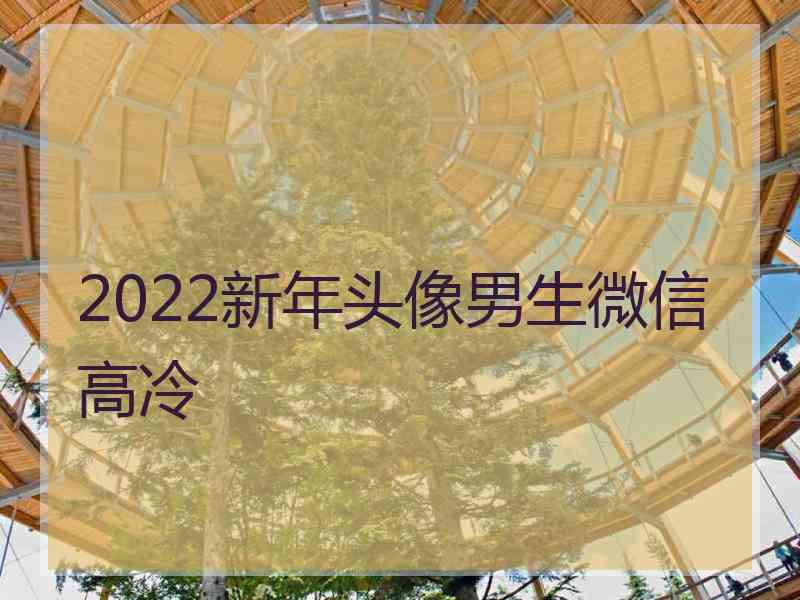 2022新年头像男生微信高冷