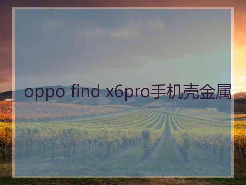 oppo find x6pro手机壳金属