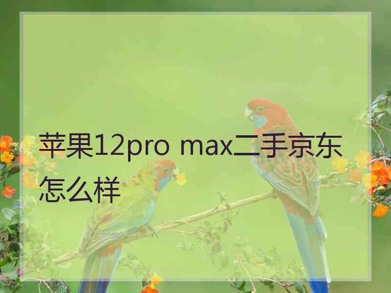 苹果12pro max二手京东怎么样