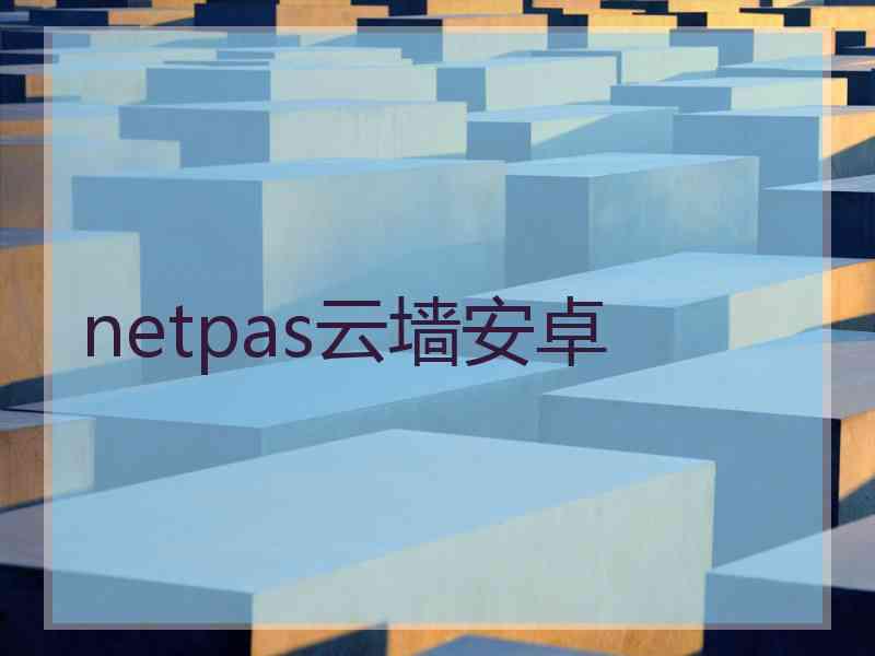 netpas云墙安卓