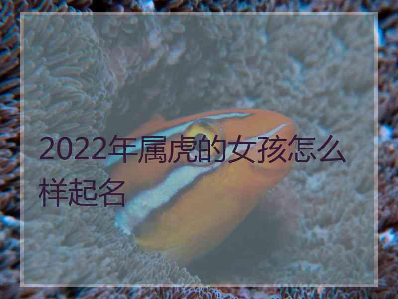 2022年属虎的女孩怎么样起名