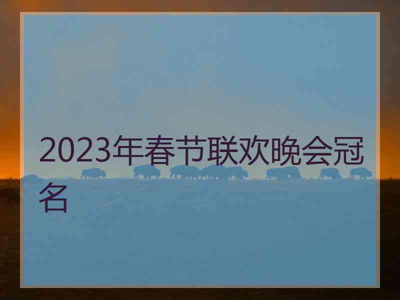 2023年春节联欢晚会冠名