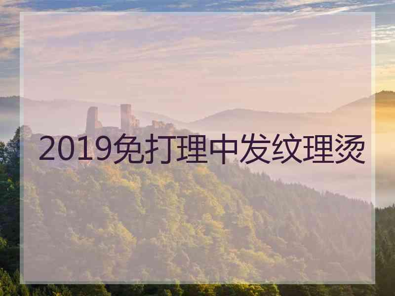 2019免打理中发纹理烫