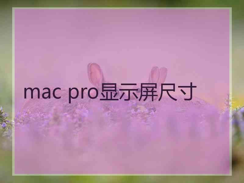 mac pro显示屏尺寸