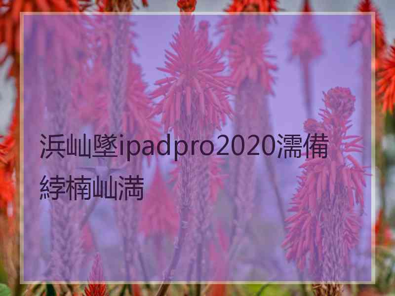 浜屾墜ipadpro2020濡備綍楠屾満