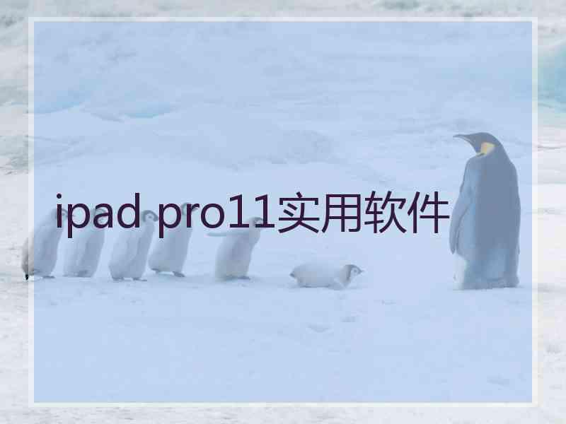 ipad pro11实用软件