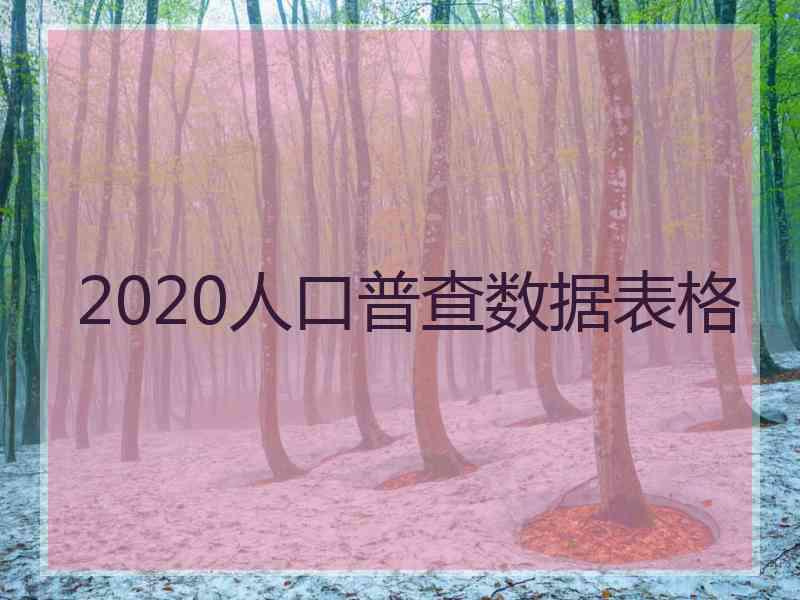 2020人口普查数据表格