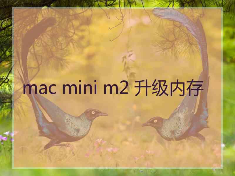 mac mini m2 升级内存