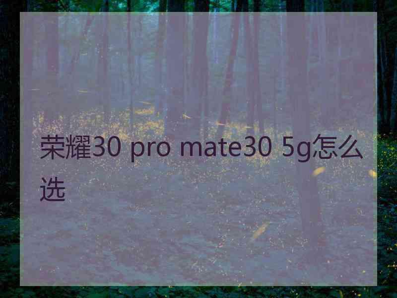 荣耀30 pro mate30 5g怎么选