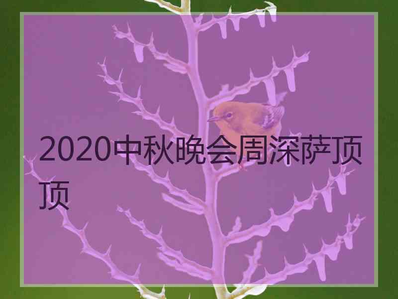 2020中秋晚会周深萨顶顶