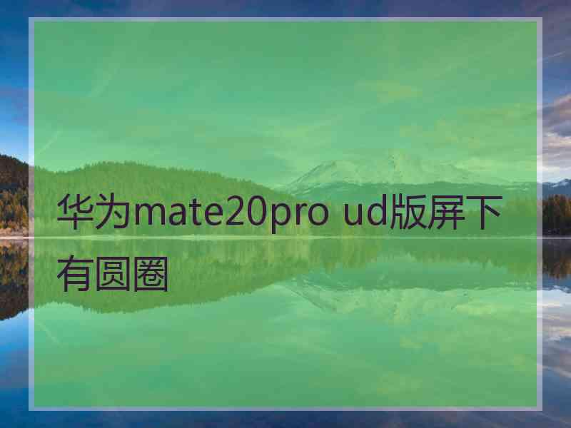 华为mate20pro ud版屏下有圆圈