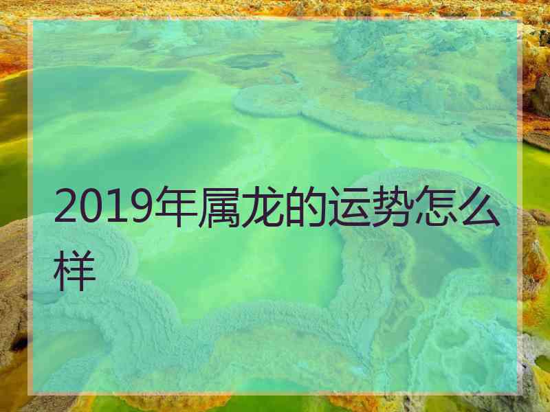 2019年属龙的运势怎么样