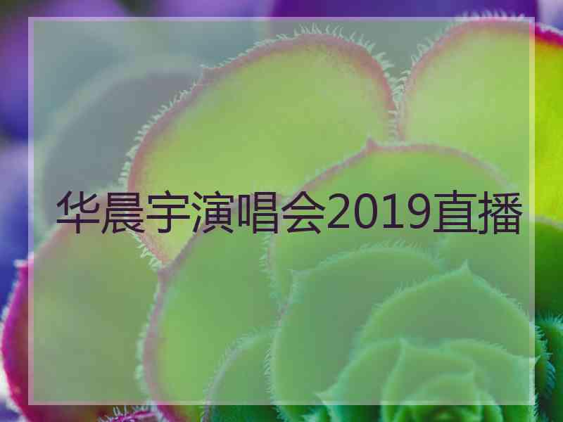 华晨宇演唱会2019直播