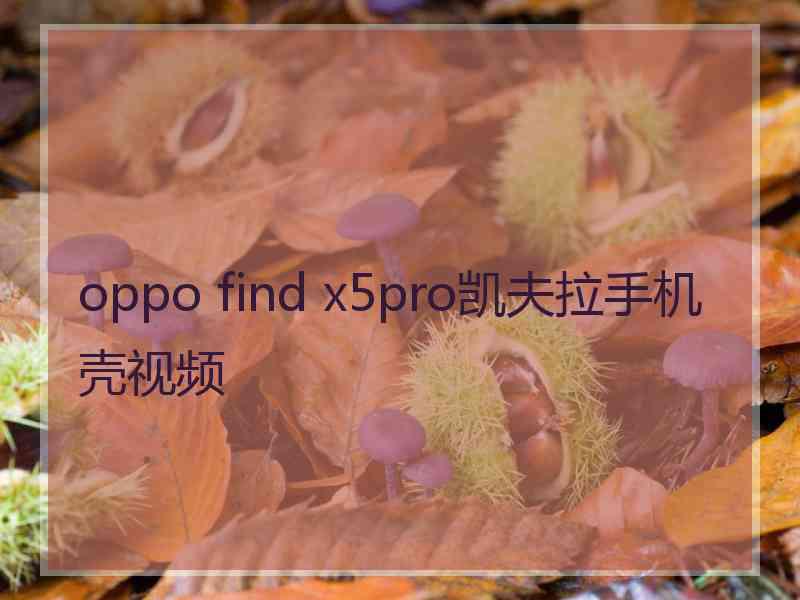 oppo find x5pro凯夫拉手机壳视频