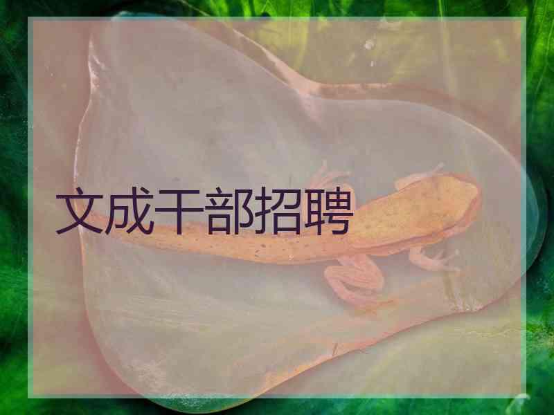 文成干部招聘