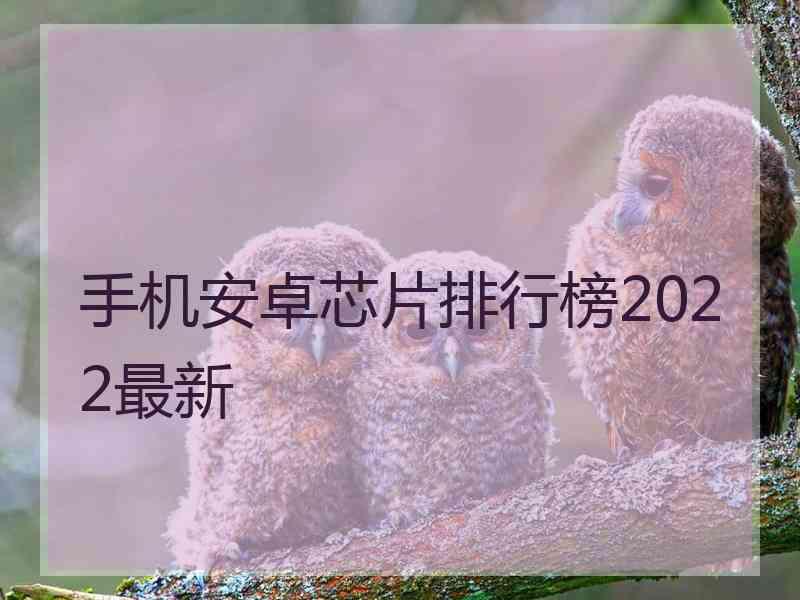 手机安卓芯片排行榜2022最新