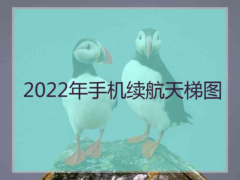 2022年手机续航天梯图