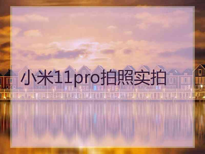 小米11pro拍照实拍