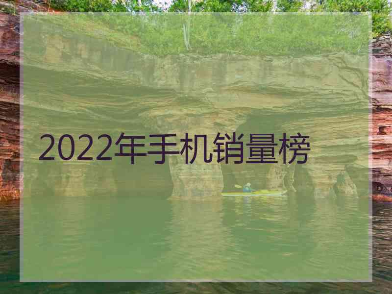 2022年手机销量榜