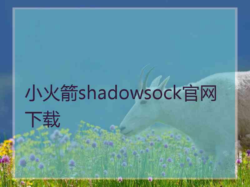 小火箭shadowsock官网下载