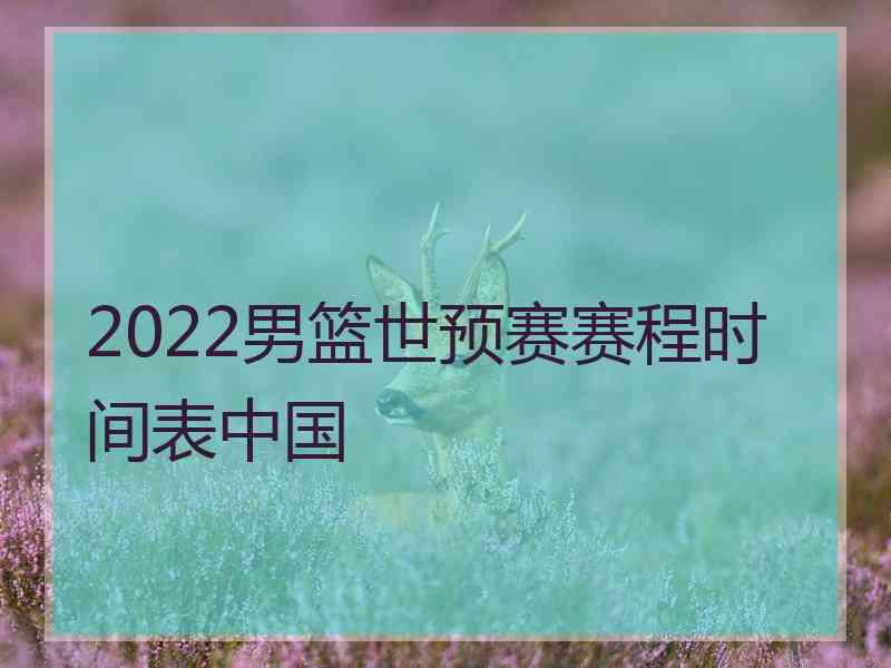 2022男篮世预赛赛程时间表中国