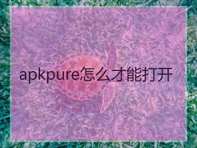 apkpure怎么才能打开