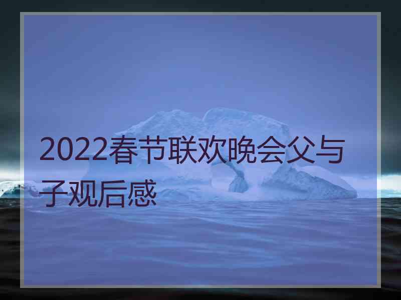 2022春节联欢晚会父与子观后感