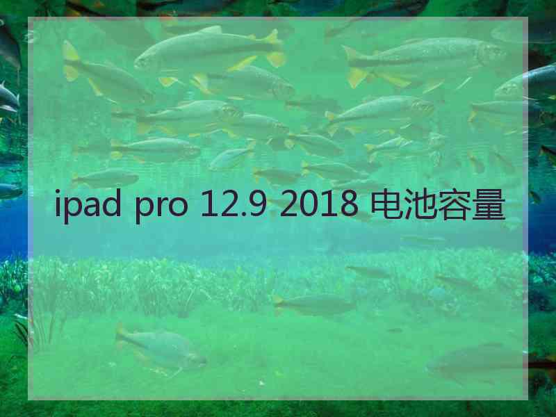 ipad pro 12.9 2018 电池容量