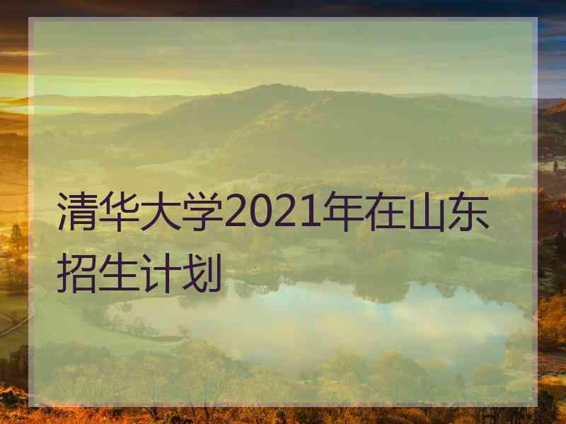 清华大学2021年在山东招生计划