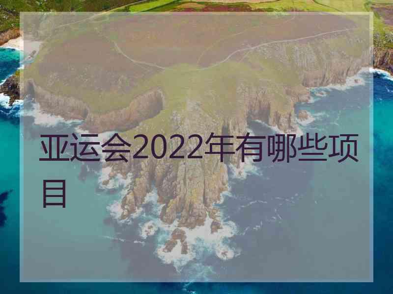 亚运会2022年有哪些项目