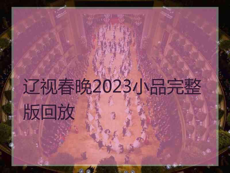 辽视春晚2023小品完整版回放