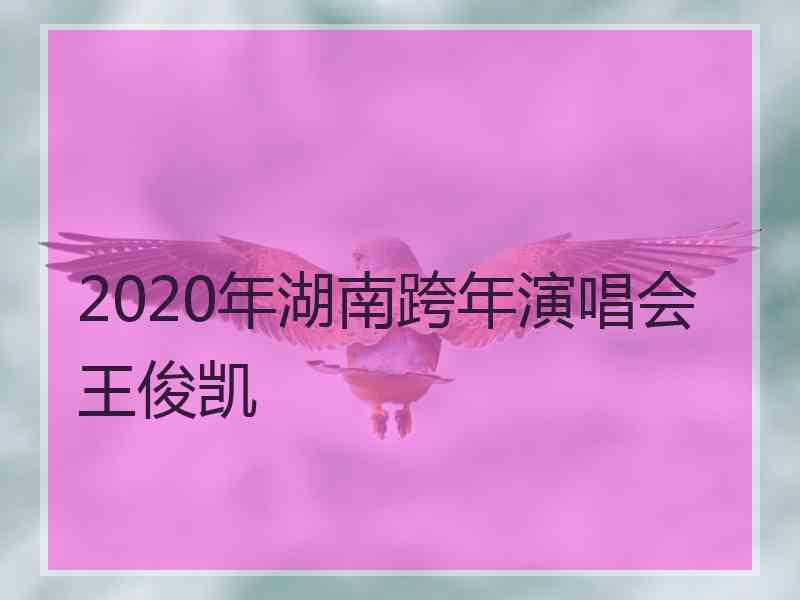 2020年湖南跨年演唱会王俊凯