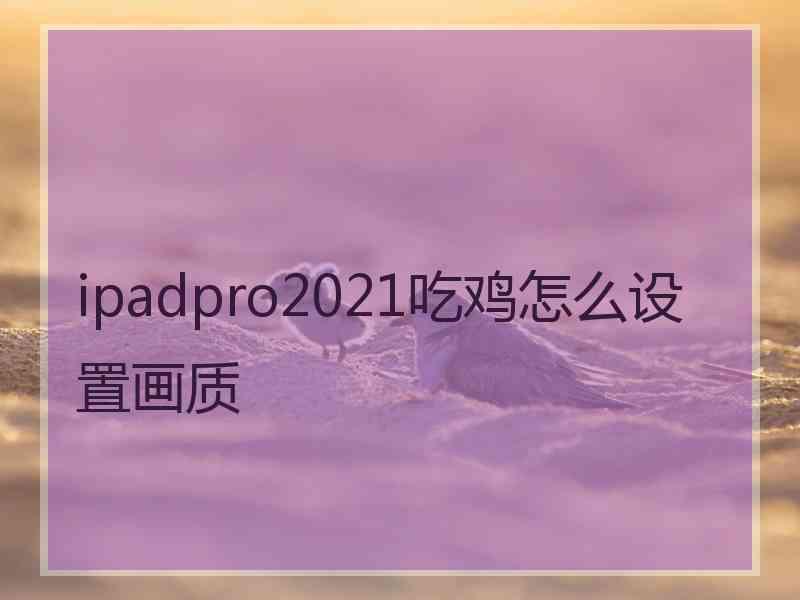 ipadpro2021吃鸡怎么设置画质