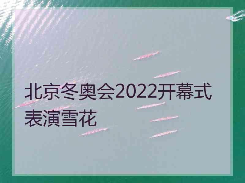 北京冬奥会2022开幕式表演雪花