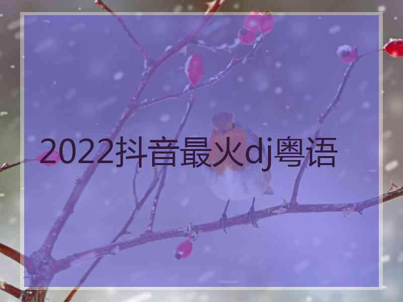 2022抖音最火dj粤语