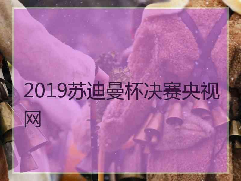 2019苏迪曼杯决赛央视网