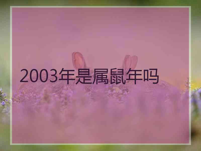 2003年是属鼠年吗