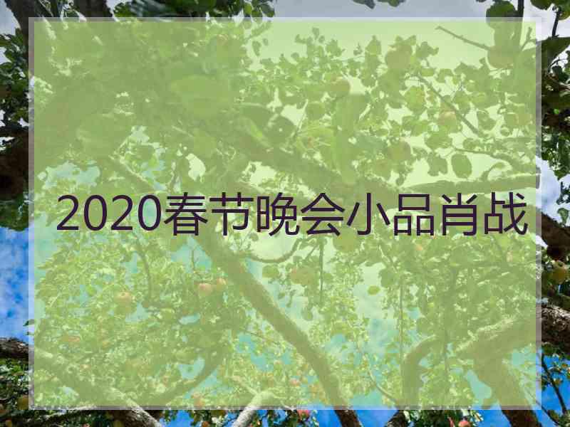 2020春节晚会小品肖战