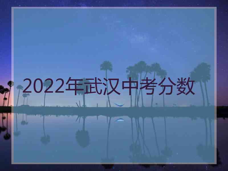 2022年武汉中考分数