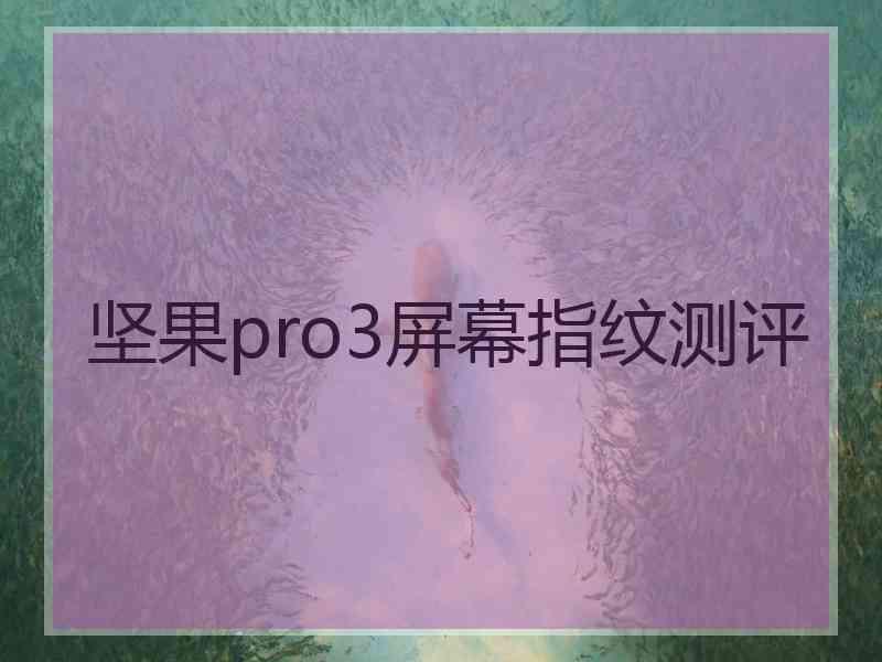 坚果pro3屏幕指纹测评